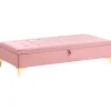 ABERDEEN - Ottomaan met opbergruimte - Roze - Fluweel