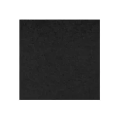Akoestisch wandpaneel PET-vilt - 100x100 cm - Zwart
