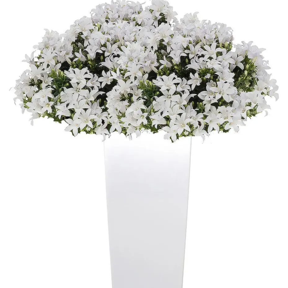 Bloempot/plantenpot Urbi - wit - 19 x 19 x 37 cm
