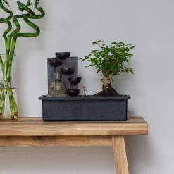 Bonsai met Buddha - Set van 2 - Bonsai - Hoogte 25-35cm - ⌀29cm