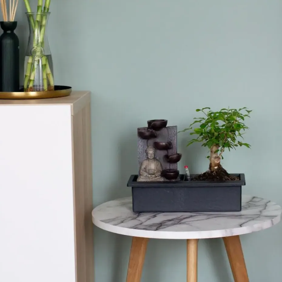 Bonsai met Buddha - Set van 2 - Bonsai - Hoogte 25-35cm - ⌀29cm