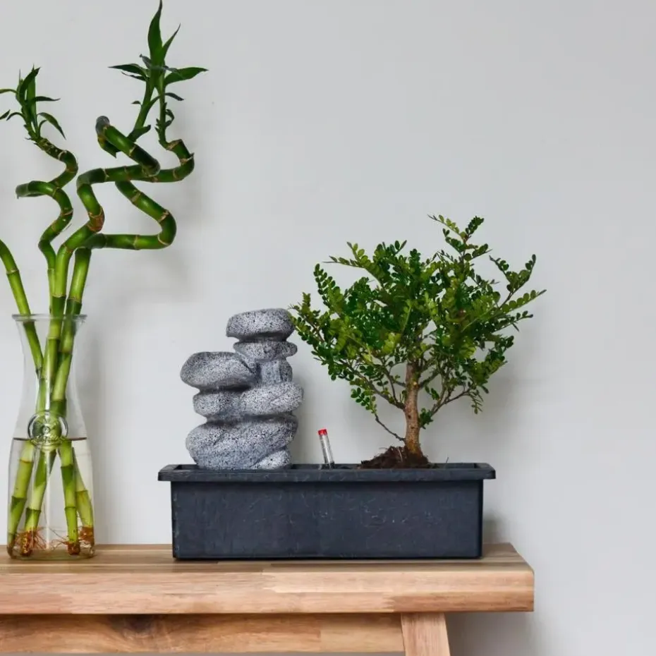 Bonsai met waterval - Set van 2 - Bonsai - Hoogte 25-35cm - ⌀29cm