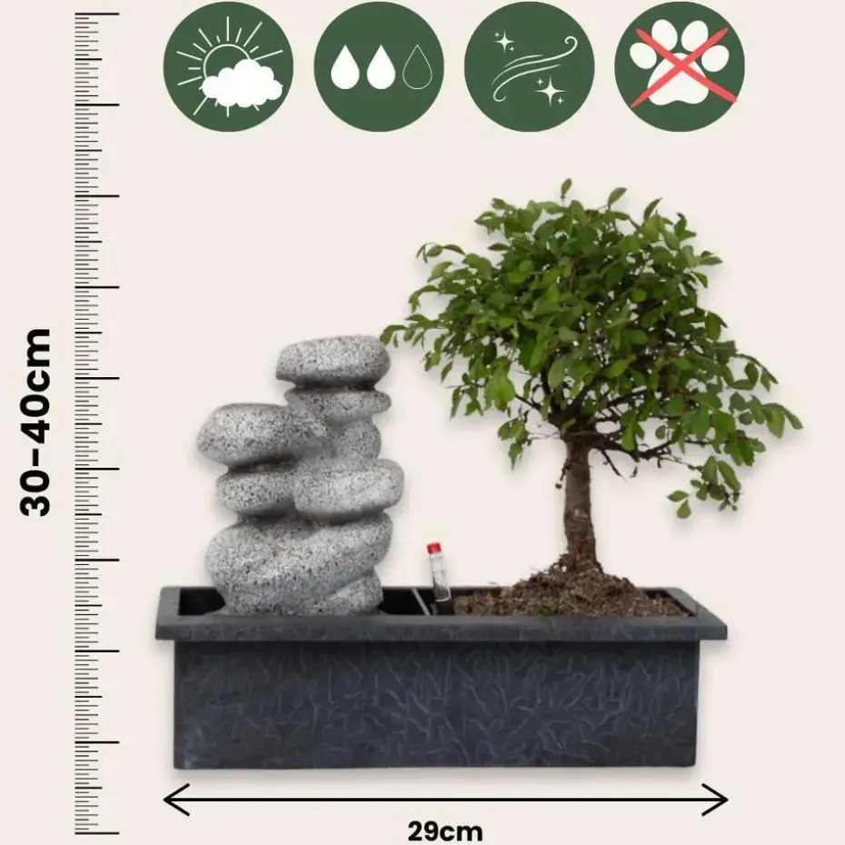 Bonsai met waterval - Set van 2 - Bonsai - Hoogte 25-35cm - ⌀29cm