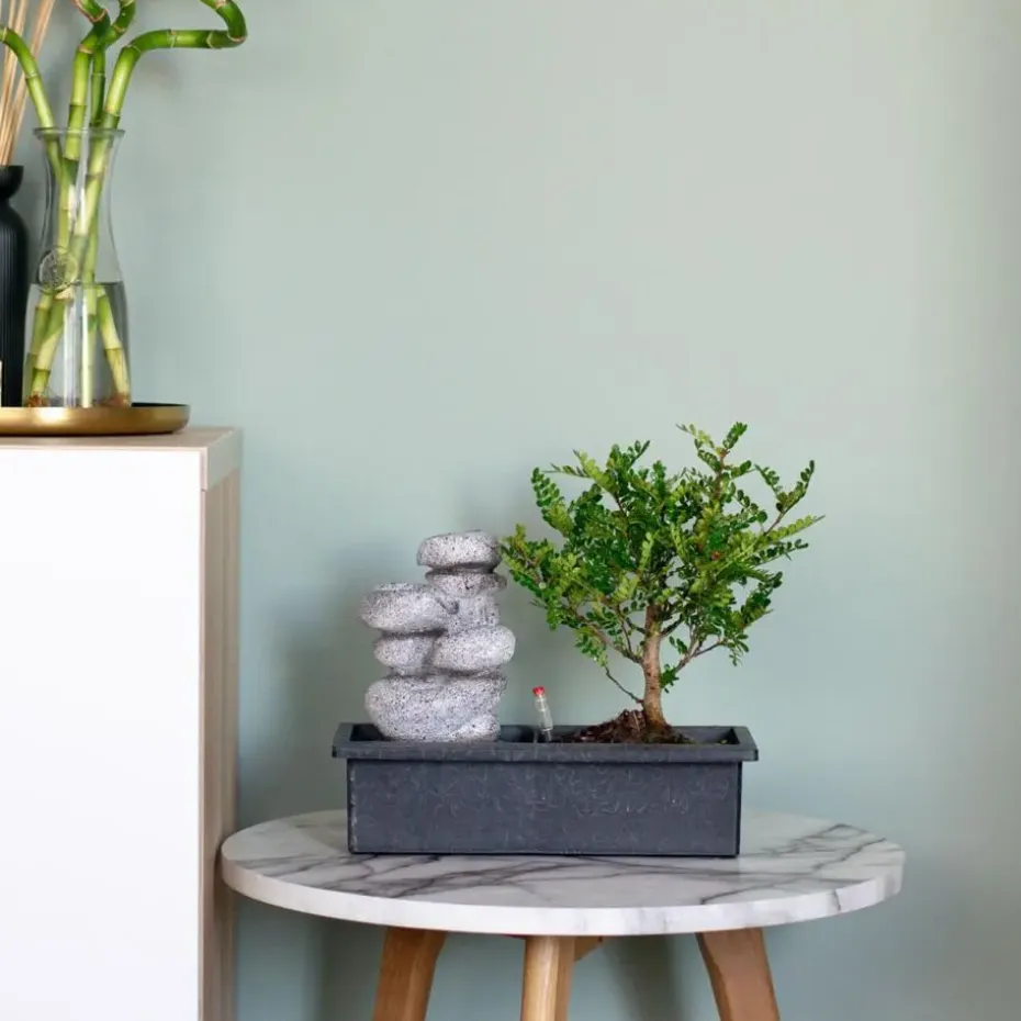 Bonsai met waterval - Set van 2 - Bonsai - Hoogte 25-35cm - ⌀29cm
