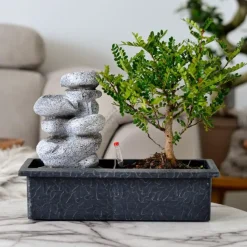 Bonsai met waterval - Set van 2 - Bonsai - Hoogte 25-35cm - ⌀29cm
