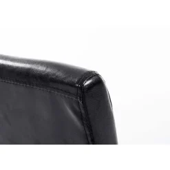 CLP Eetkamerstoel Ina natura Frame - Kunstleer - zwart