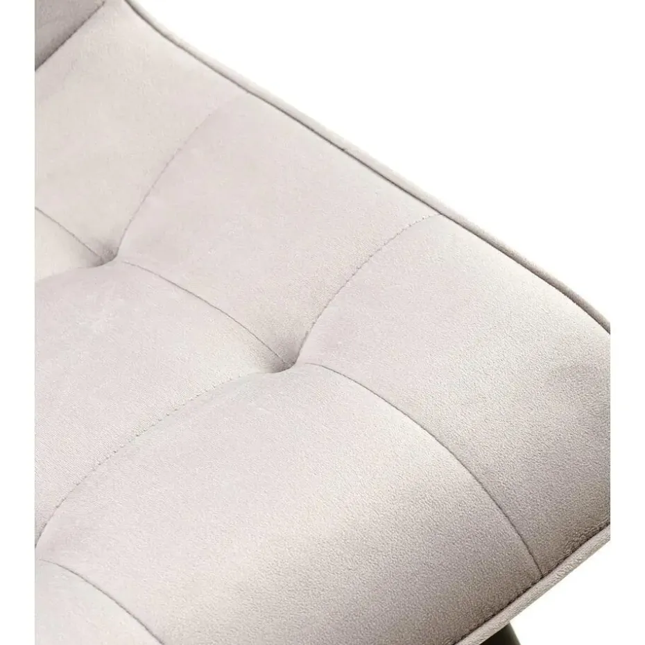 CLP Set van 2 Eetkamerstoel Gifford mat zwart Frame - Fluweel - grijs