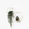 Dubbel zeshoekig metalen wandrek met 2 houten plankjes - 30,5x41 cm - Goud