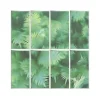 Dutch Wallcoverings - Horizons raam/bladeren groen - 0,53x10,05m