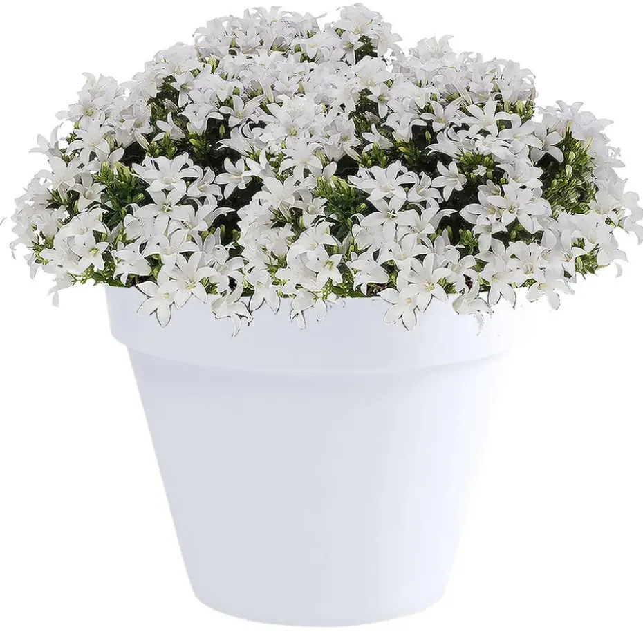 EDA Toscane Bloempot - kunststof - wit - D30 x H26 cm