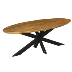 Eettafel Ovaal Naturel Mangohout - 300x110x76cm - Brandy