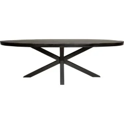Eettafel Ovaal Zwart Hout - 300x120x76cm - Denver