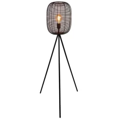 EGLO Derwen Vloerlamp - E27 - Metaal - Zwart