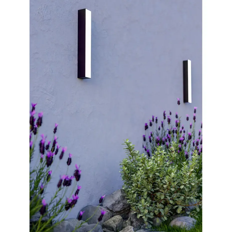 EGLO Salitta Wandlamp - LED - 38 cm - Zwart