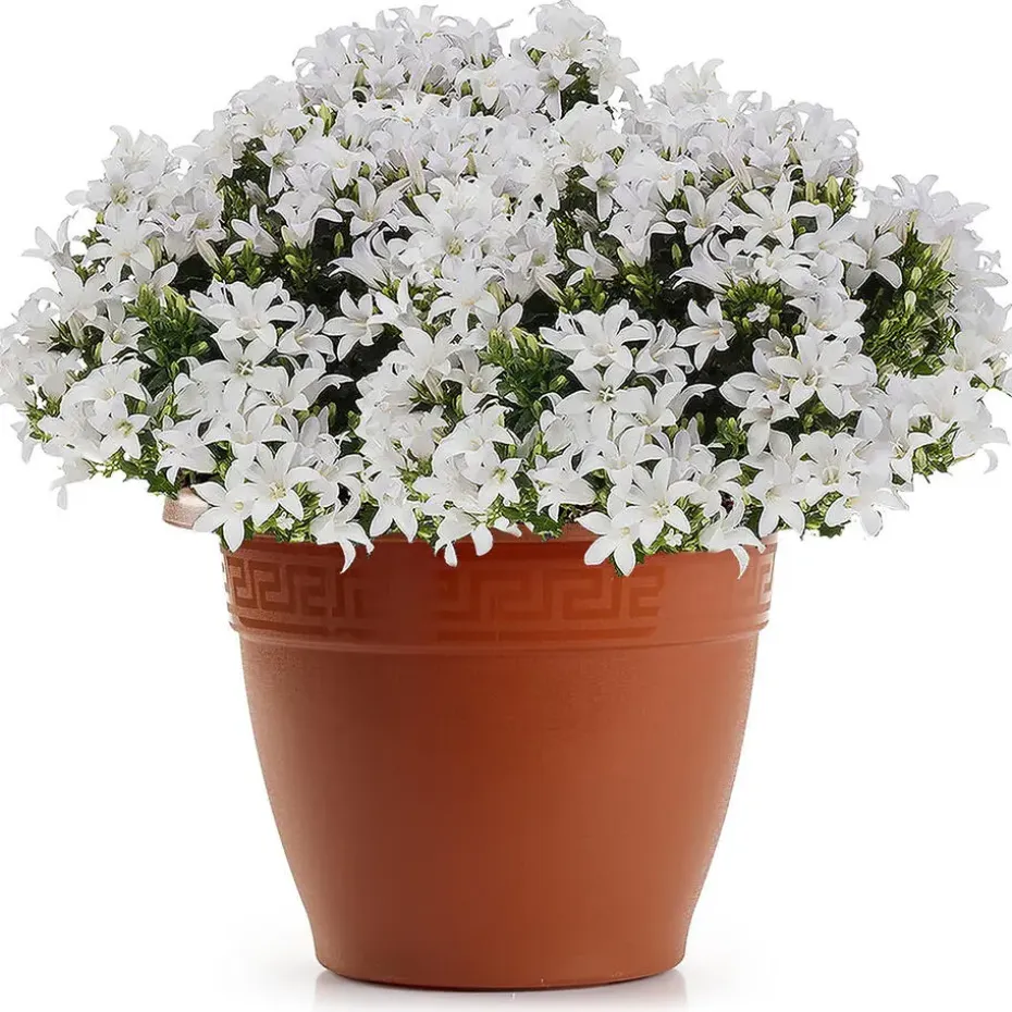 Forte Plastics Bloempot - terracotta - kunststof - 50 cm