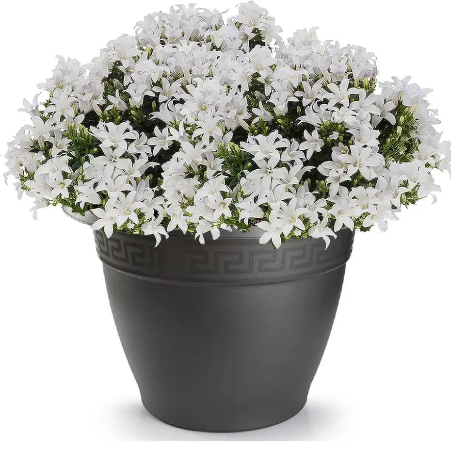 Forte Plastics Bloempot - antraciet - rond - kunststof - 60 cm