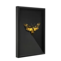 Fotokader in 3D - Box Frame - Fotolijst - 6 cm diep - MDF - 40x60cm - Zwart