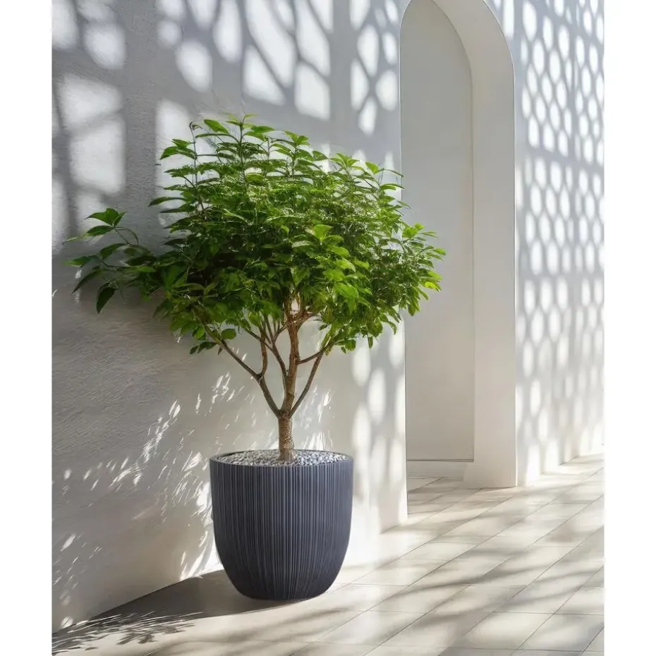 FRAXINUS - Bloempot - Grafietgrijs - MgO