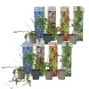Fruitstruiken - Set van 8 - Actinidia, Vaccinium, Lycium - Hoogte 25-40cm - ⌀9cm