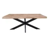 Furndea Devi eettafel boomstam mangohout 160x90x76