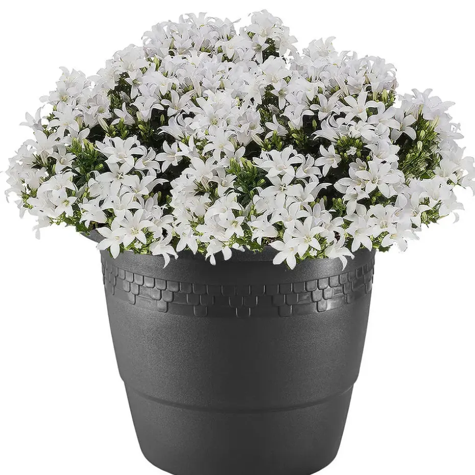 Hega Hogar Bloempot - antraciet - kunststof - sierrand - 60 cm