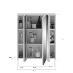 Hioshop Ice spiegelkast inclusief verlichting 3 spiegeldeuren wit hoogglans-