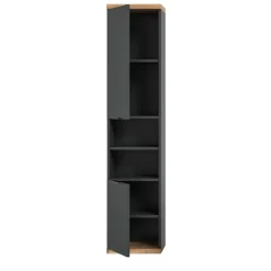 Hioshop Nuaro badkamerkast wandgemonteerd 2 deuren grijs