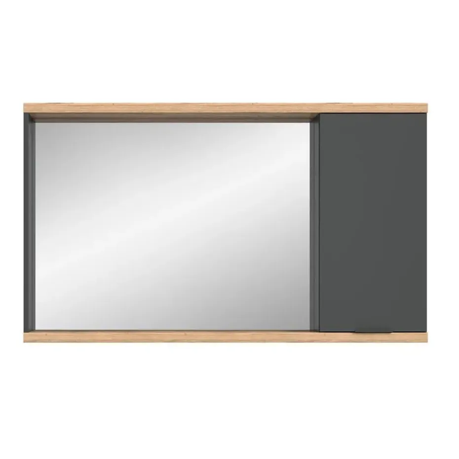 Hioshop Nuaro spiegelkast 1 deur grijs