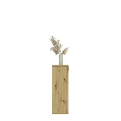 Hioshop ProjektX kommode 1 deur eiken decor