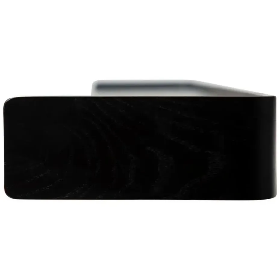 Hioshop Protopia Dan-Form wandplank fineer essen zwart