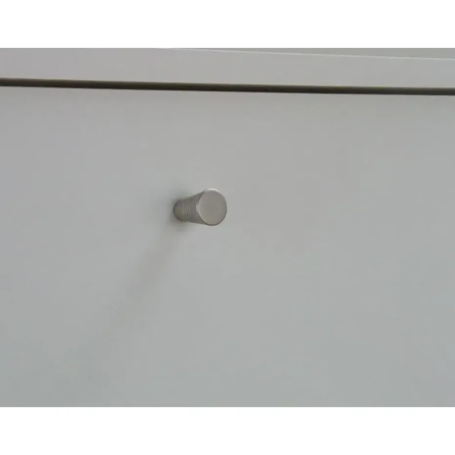Hioshop Schoenenkast wit mat 75x148x17 cm Escape