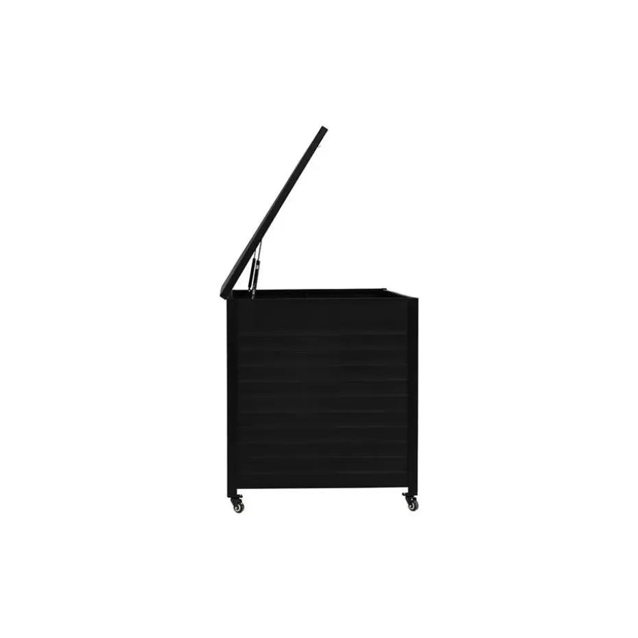 Hioshop Tiana opbergbox zwart