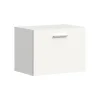 Hioshop Vaga schoenenkast wandgemonteerd 52x39cm 1 klepdeur wit