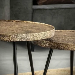 Hoyz - Salontafel Rond Metallic - Goudkleurig - Set van 2