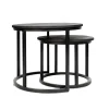 Industriële salontafel set van 2 Rosa zwart - 54x54x44 cm - Mangohout - Zwart