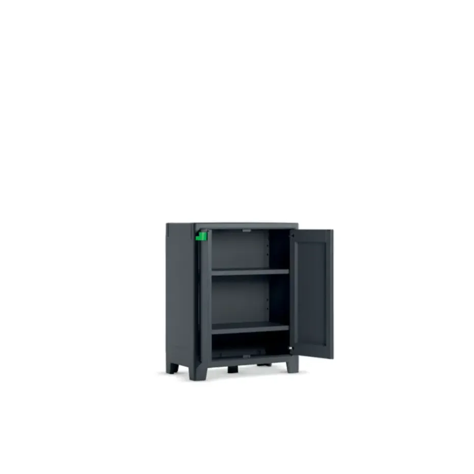 Keter Moby lage kast - 2 planken - 80x44x100 cm - Antraciet