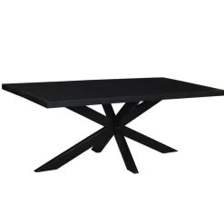 Livingfurn - e Zwart Eetkamertafel kala - Mango Hout - 200 cm