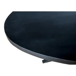 Livingfurn - Zwart Ovale Eetkamertafel - - Mango Hout - 210 cm