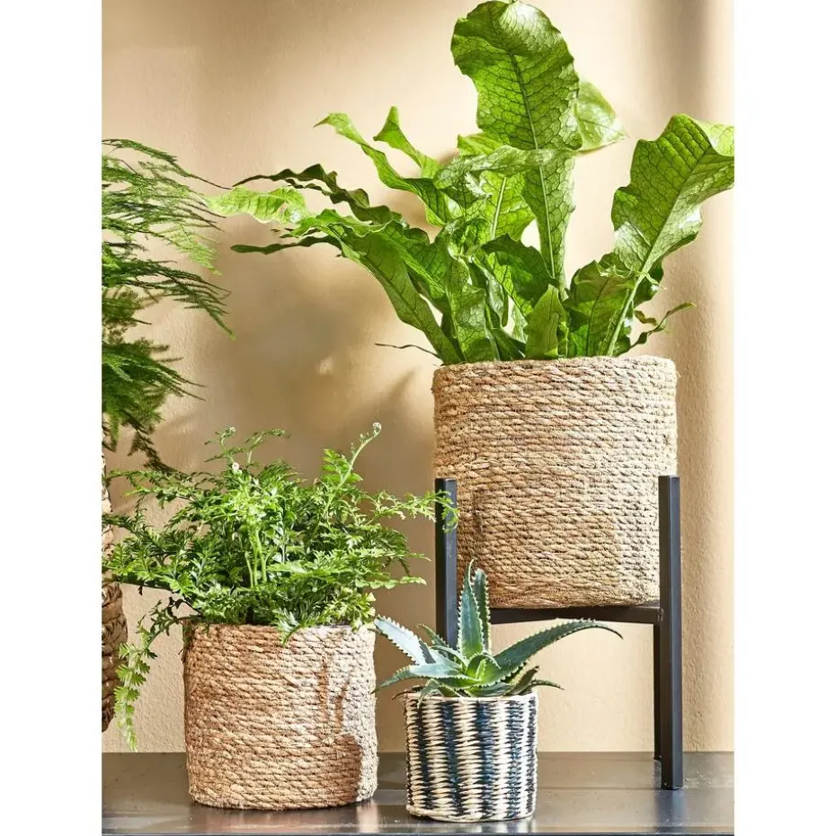 Mica Decorations Atlantic Mand voor Planten Set van 3