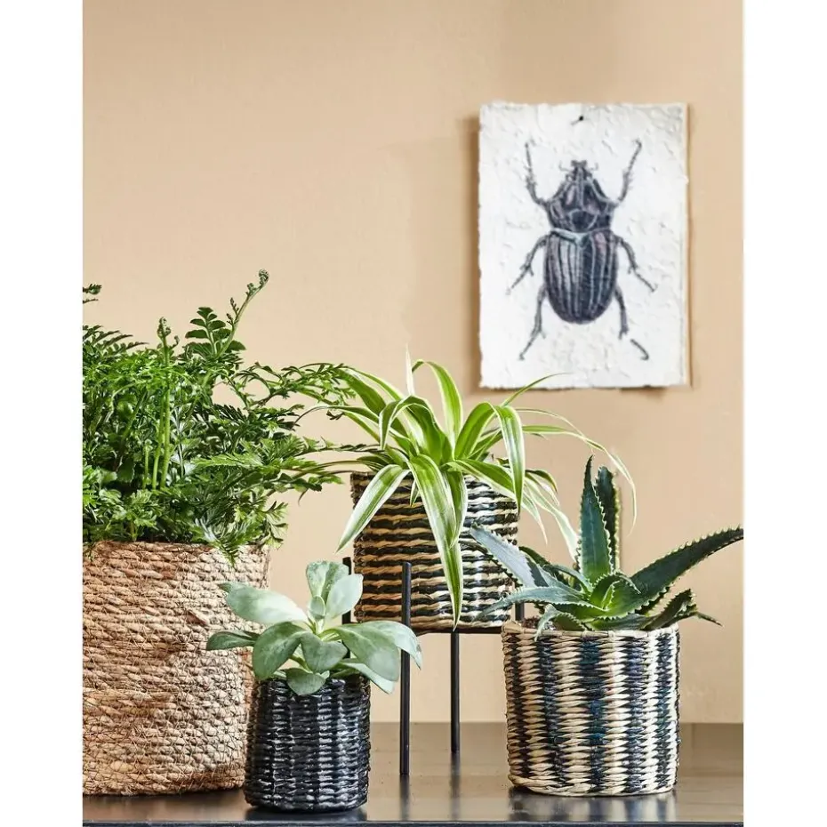 Mica Decorations Atlantic Mand voor Planten Set van 3