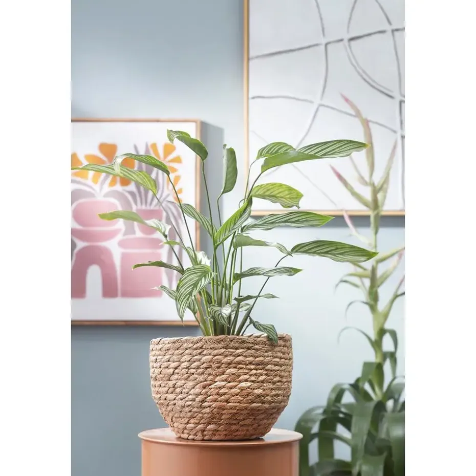 Mica Decorations Bloempot - rotan - naturel - jute - 24 x 26 cm