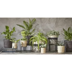 Mica Decorations Bloempot - rotan - zwart - jute - 18 x 18 cm