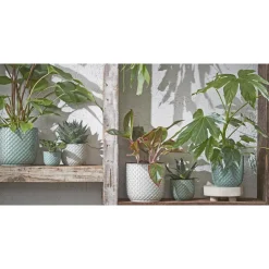 Mica Decorations Daan Bloempot - H17,5 x Ø19 cm - Groen