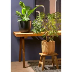 Mica Decorations Planten/bloempot Tusca - Zwart - D31/H28 cm