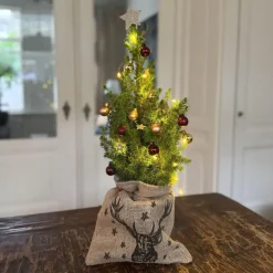 Mini-kerstboom met juten zak - Picea glauca ‘Conica’ - Hoogte 55-65cm - ⌀15cm
