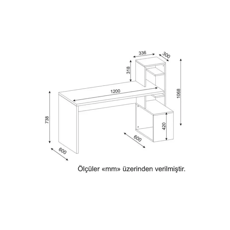 18mm Witte walnoot Studiebureau