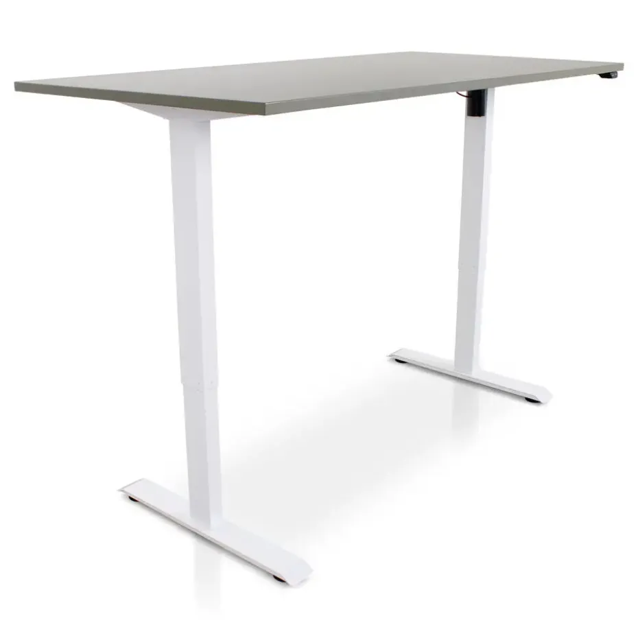 MRC EASY Zit-Sta Bureau – Elektrisch Verstelbaar – 160x80 cm – Blad Forest Green