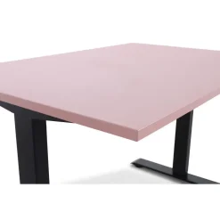 MRC EASY Zit-Sta Bureau – Elektrisch Verstelbaar – 120x80 cm – Blad Dusty Rose