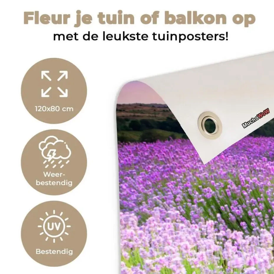 MuchoWow Tuinposter 120x80cm Bloemen Lavendel Paars Lucht