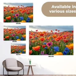 MuchoWow Tuinposter 180x120cm Bloemen Klaprozen Kleurrijk